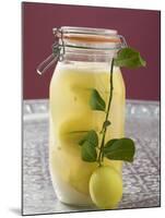 Pickled Lemons in Jar, Small Branch with Fresh Lemon-null-Mounted Photographic Print