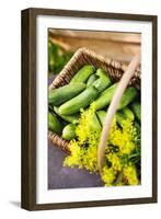 Pickling Cucumbers and Dill in a Basket-Eising Studio - Food Photo and Video-Framed Photographic Print