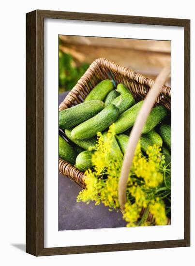 Pickling Cucumbers and Dill in a Basket-Eising Studio - Food Photo and Video-Framed Photographic Print
