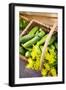 Pickling Cucumbers and Dill in a Basket-Eising Studio - Food Photo and Video-Framed Photographic Print