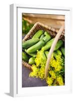 Pickling Cucumbers and Dill in a Basket-Eising Studio - Food Photo and Video-Framed Photographic Print