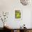 Pickling Cucumbers and Dill in a Basket-Eising Studio - Food Photo and Video-Framed Photographic Print displayed on a wall