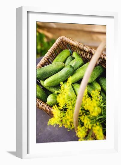 Pickling Cucumbers and Dill in a Basket-Eising Studio - Food Photo and Video-Framed Photographic Print