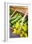 Pickling Cucumbers and Dill in a Basket-Eising Studio - Food Photo and Video-Framed Photographic Print