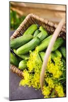 Pickling Cucumbers and Dill in a Basket-Eising Studio - Food Photo and Video-Mounted Photographic Print