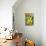 Pickling Cucumbers and Dill in a Basket-Eising Studio - Food Photo and Video-Mounted Photographic Print displayed on a wall