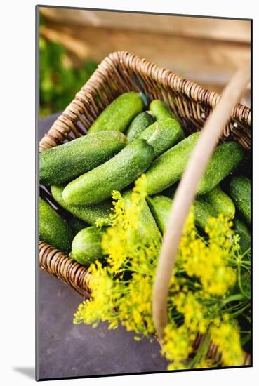 Pickling Cucumbers and Dill in a Basket-Eising Studio - Food Photo and Video-Mounted Photographic Print