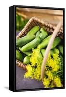 Pickling Cucumbers and Dill in a Basket-Eising Studio - Food Photo and Video-Framed Stretched Canvas