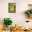 Pickling Cucumbers and Dill in a Basket-Eising Studio - Food Photo and Video-Framed Stretched Canvas displayed on a wall