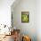 Pickling Cucumbers and Dill in a Basket-Eising Studio - Food Photo and Video-Framed Stretched Canvas displayed on a wall