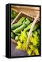 Pickling Cucumbers and Dill in a Basket-Eising Studio - Food Photo and Video-Framed Stretched Canvas