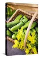 Pickling Cucumbers and Dill in a Basket-Eising Studio - Food Photo and Video-Stretched Canvas