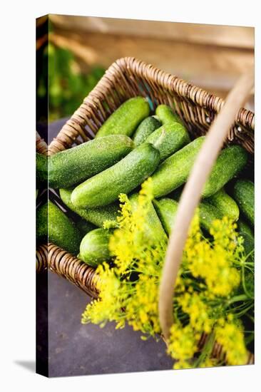 Pickling Cucumbers and Dill in a Basket-Eising Studio - Food Photo and Video-Stretched Canvas