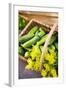 Pickling Cucumbers and Dill in a Basket-Eising Studio - Food Photo and Video-Framed Photographic Print