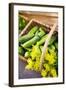 Pickling Cucumbers and Dill in a Basket-Eising Studio - Food Photo and Video-Framed Photographic Print