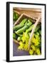 Pickling Cucumbers and Dill in a Basket-Eising Studio - Food Photo and Video-Framed Photographic Print