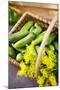 Pickling Cucumbers and Dill in a Basket-Eising Studio - Food Photo and Video-Mounted Photographic Print