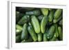 Pickling Cucumbers for Sale at a Farmer's Market, Charleston, South Carolina. USA-Julien McRoberts-Framed Photographic Print