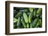 Pickling Cucumbers for Sale at a Farmer's Market, Charleston, South Carolina. USA-Julien McRoberts-Framed Photographic Print