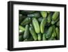 Pickling Cucumbers for Sale at a Farmer's Market, Charleston, South Carolina. USA-Julien McRoberts-Framed Photographic Print