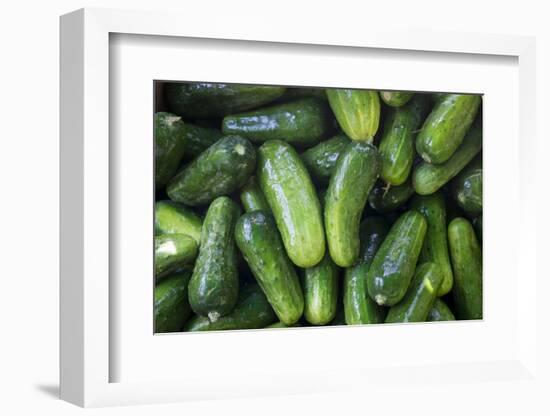 Pickling Cucumbers for Sale at a Farmer's Market, Charleston, South Carolina. USA-Julien McRoberts-Framed Photographic Print