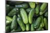 Pickling Cucumbers for Sale at a Farmer's Market, Charleston, South Carolina. USA-Julien McRoberts-Mounted Photographic Print