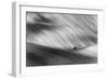 Pickup-Piotr Krol-Framed Photographic Print