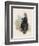 Pickwick Papers: Serjeant Buzfuz-Joseph Clayton Clarke-Framed Art Print