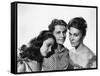 PICNIC, 1956 directed by JOSHUA LOGAN Susan Strasberg, Betty Field and Kim Novak (b/w photo)-null-Framed Stretched Canvas