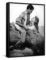 PICNIC, 1956 directed by JOSHUA LOGAN William Holden and Kim Novak (b/w photo)-null-Framed Stretched Canvas