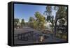 Picnic Area, Shoshone Point, South Rim, Grand Canyon National Park, Arizona, Usa-Rainer Mirau-Framed Stretched Canvas