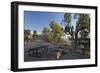 Picnic Area, Shoshone Point, South Rim, Grand Canyon National Park, Arizona, Usa-Rainer Mirau-Framed Photographic Print