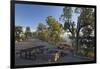 Picnic Area, Shoshone Point, South Rim, Grand Canyon National Park, Arizona, Usa-Rainer Mirau-Framed Photographic Print