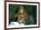 Picnic at Hanging Rock-null-Framed Photo