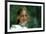 Picnic at Hanging Rock-null-Framed Photo