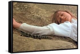 Picnic at Hanging Rock-null-Framed Stretched Canvas