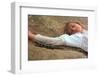 Picnic at Hanging Rock-null-Framed Photo