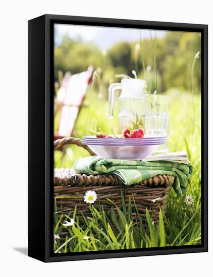 Picnic Basket with Picnicware and Radishes-null-Framed Stretched Canvas