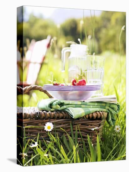 Picnic Basket with Picnicware and Radishes-null-Stretched Canvas
