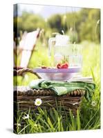 Picnic Basket with Picnicware and Radishes-null-Stretched Canvas