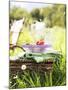 Picnic Basket with Picnicware and Radishes-null-Mounted Photographic Print