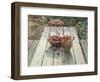 Picnic Bench-unknown Faulkner-Framed Art Print