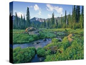 Picnic Creek in the Jewel Basin of the Swan Mountain Range, Montana, USA-Chuck Haney-Stretched Canvas