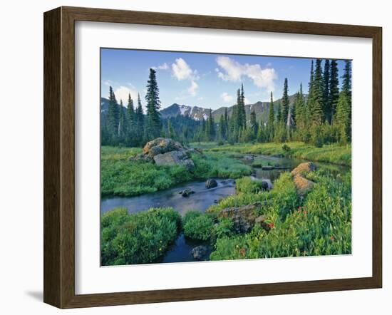 Picnic Creek in the Jewel Basin of the Swan Mountain Range, Montana, USA-Chuck Haney-Framed Photographic Print