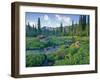 Picnic Creek in the Jewel Basin of the Swan Mountain Range, Montana, USA-Chuck Haney-Framed Photographic Print