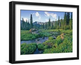 Picnic Creek in the Jewel Basin of the Swan Mountain Range, Montana, USA-Chuck Haney-Framed Photographic Print