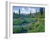 Picnic Creek in the Jewel Basin of the Swan Mountain Range, Montana, USA-Chuck Haney-Framed Photographic Print