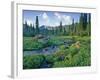 Picnic Creek in the Jewel Basin of the Swan Mountain Range, Montana, USA-Chuck Haney-Framed Photographic Print