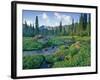 Picnic Creek in the Jewel Basin of the Swan Mountain Range, Montana, USA-Chuck Haney-Framed Photographic Print