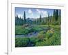 Picnic Creek in the Jewel Basin of the Swan Mountain Range, Montana, USA-Chuck Haney-Framed Photographic Print